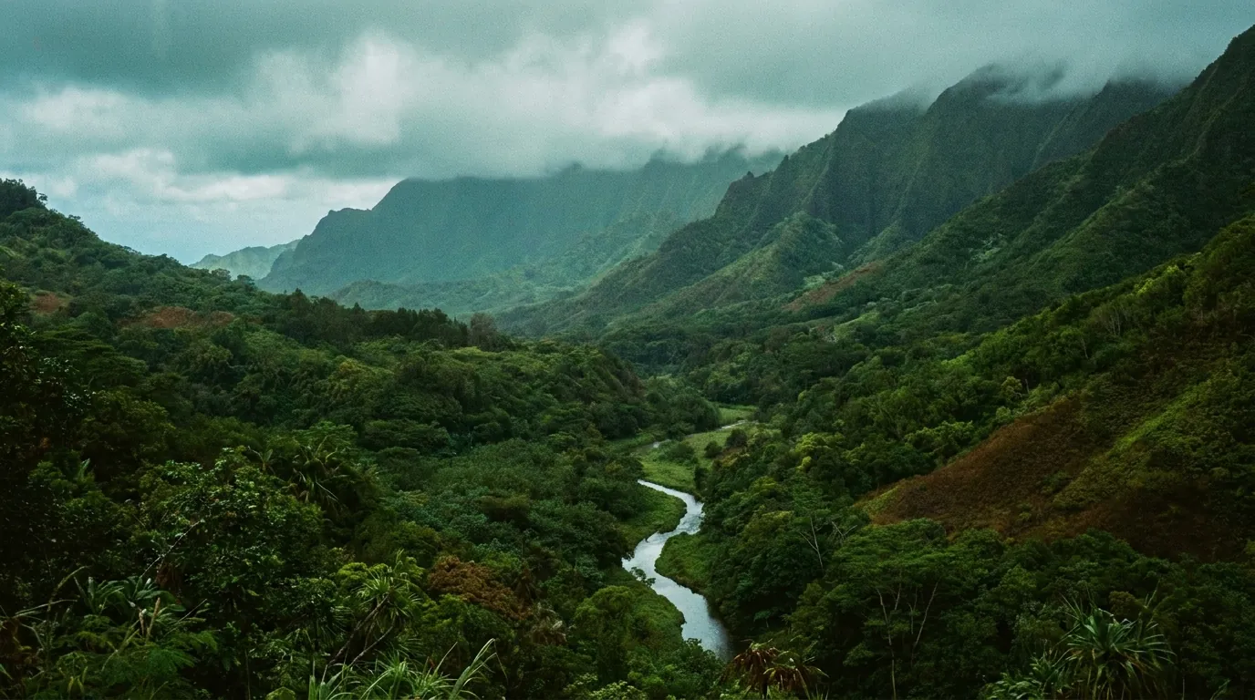 Mist drifting through an emerald valley where a stream winds between steep green ridges